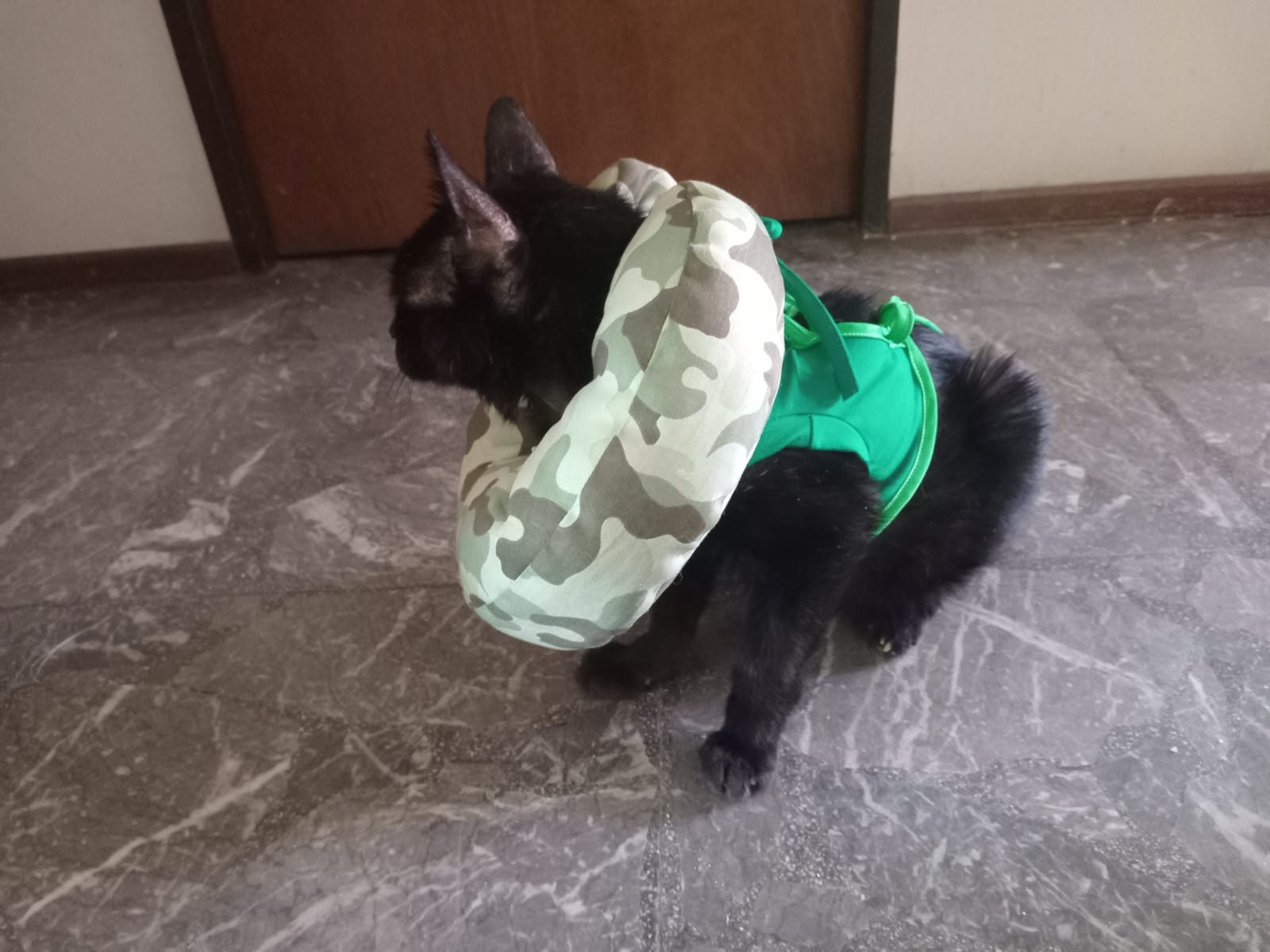 Collar Postoperatorio Pretel - color 2